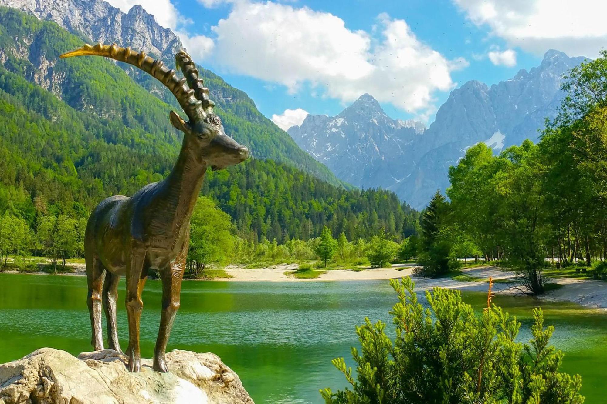 Alpine Retreat Gaja Kranjska Gora - Happy Rentals Exteriér fotografie